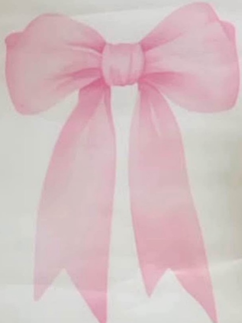 ☀️SUMMER CLEARANCE ITEM☀️ Pink Bow Unframed Canvas Poster 
Approx 28” x 20”